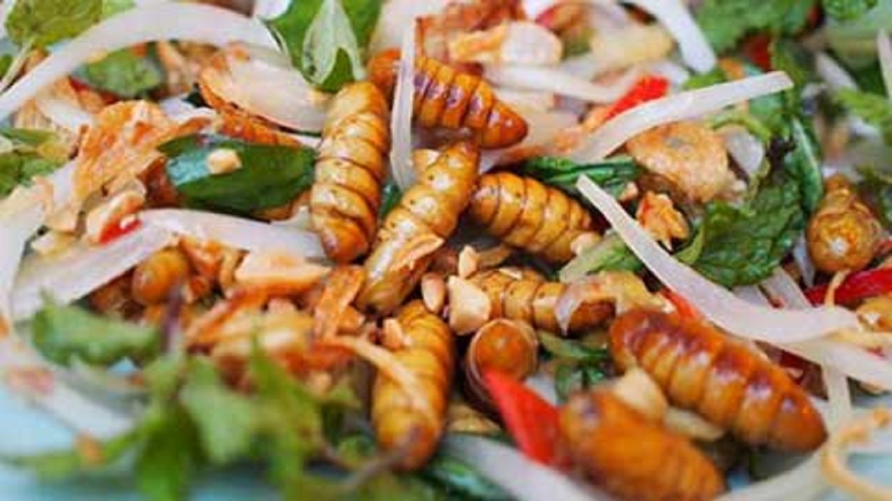 عجیب ترین و چندش آورترین غذاهای دنیا + تصاویر