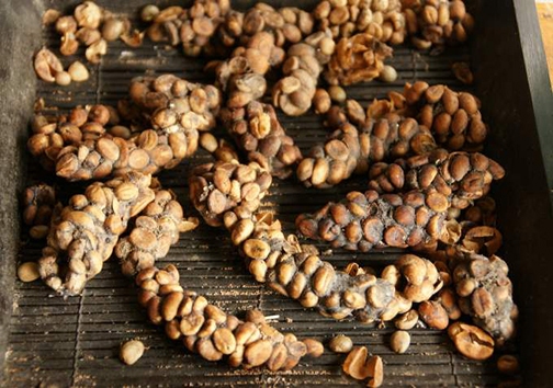 عجیب ترین و چندش آورترین غذاهای دنیا + تصاویر