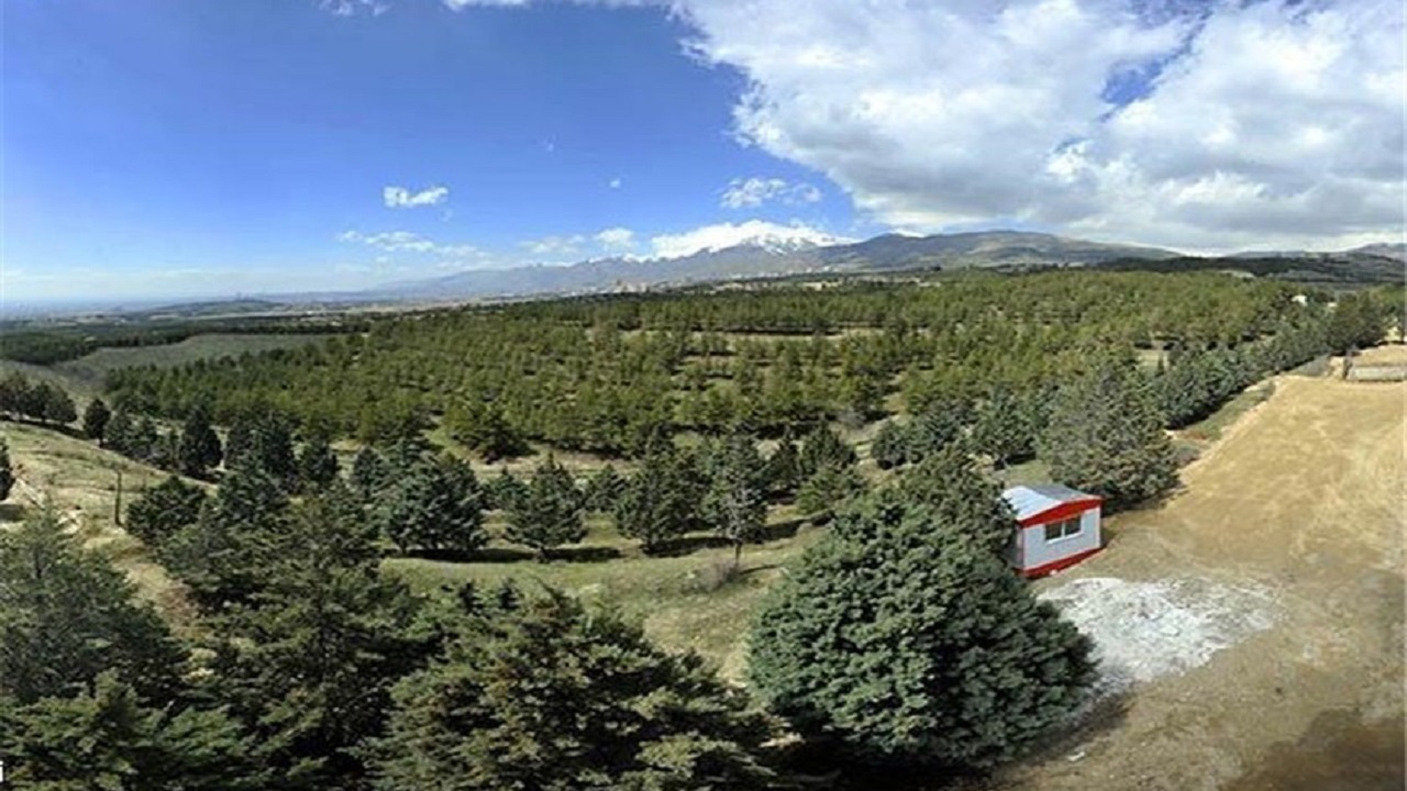 بوستان جنگلی باهنر کرمان میزبان کرونا + فیلم