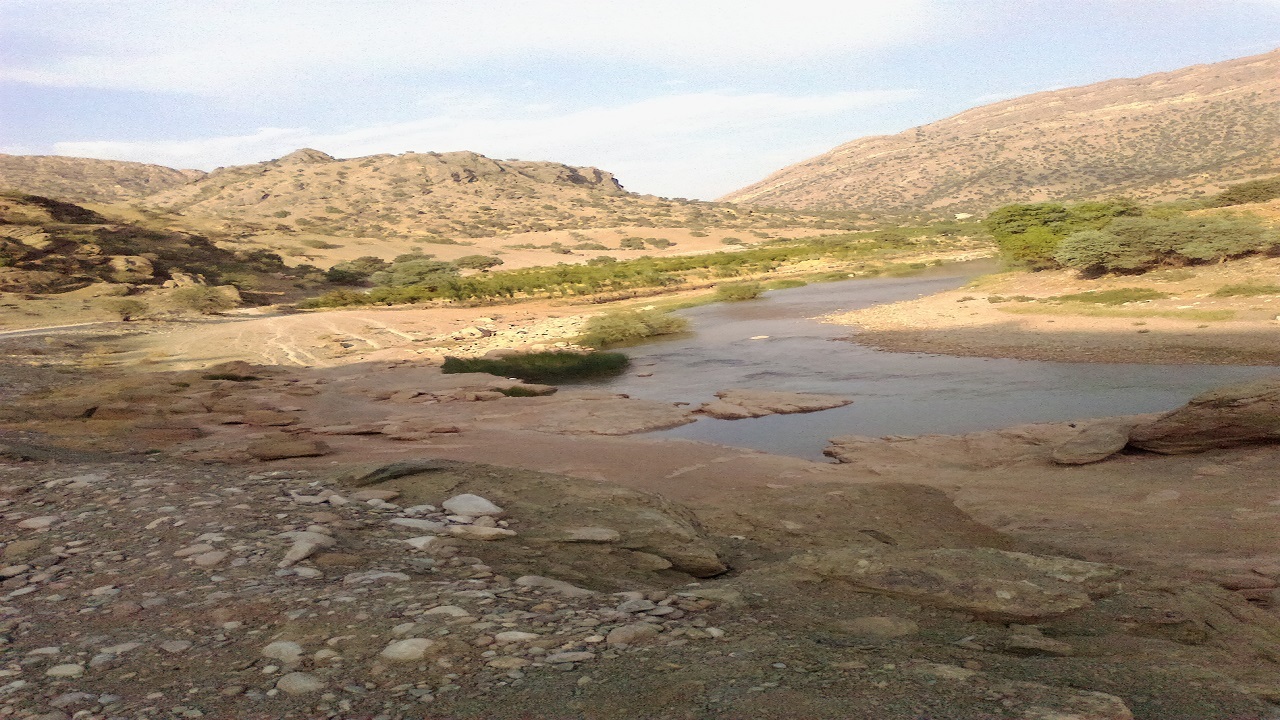 کشکان طغیانگر در انزوای خشکسالی