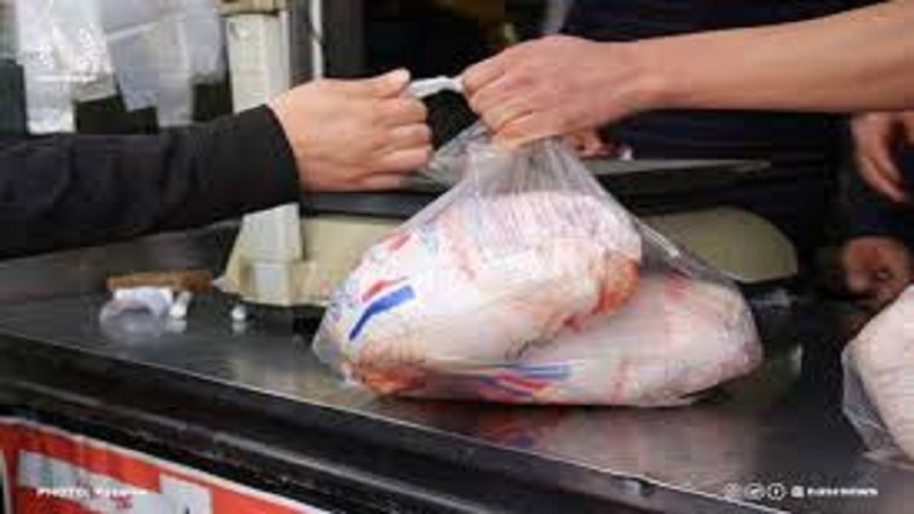مرغ های دولتی روانه بازار خرمشهر می شوند