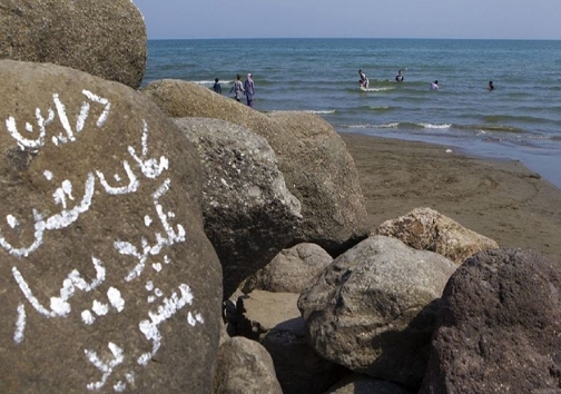 برق دزدی؛ کیسه دوزی برای مال مردم/ فروش آب به جای بنزین در خوزستان/ سقوط آزاد قیمت زرشک/ روز&zwnj;های تلخ بزرگترین دریاچه جهان