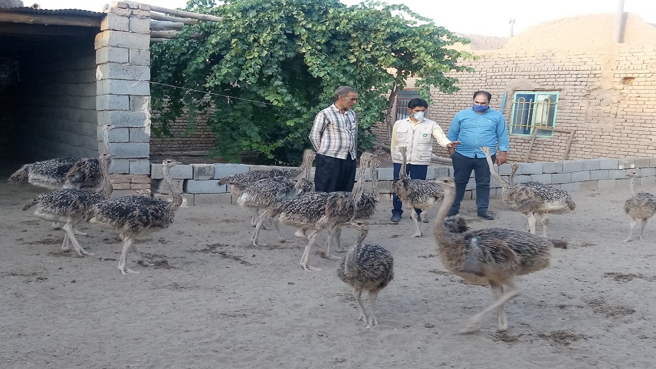 اهالی ۲۱ روستا در بردسکن از تسهیلات ۲۰ میلیونی بنیاد برکت بهره‌مند شدند
