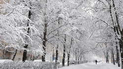 بارش شدید تگرگ در چالدران + فیلم