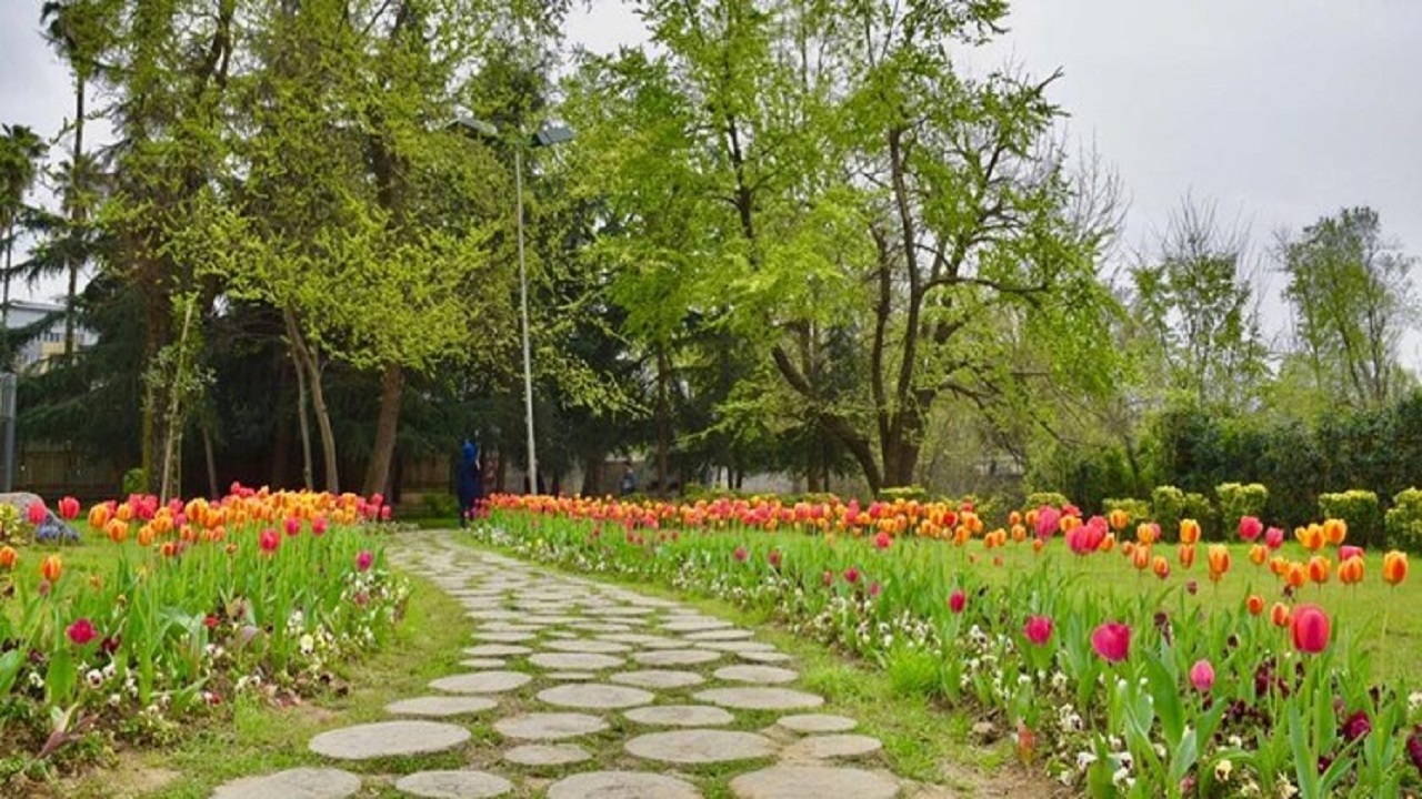 ساخت  پارک فرا منطقه‌ای ۱۲۰ هکتاری  در شهرستان رزن
