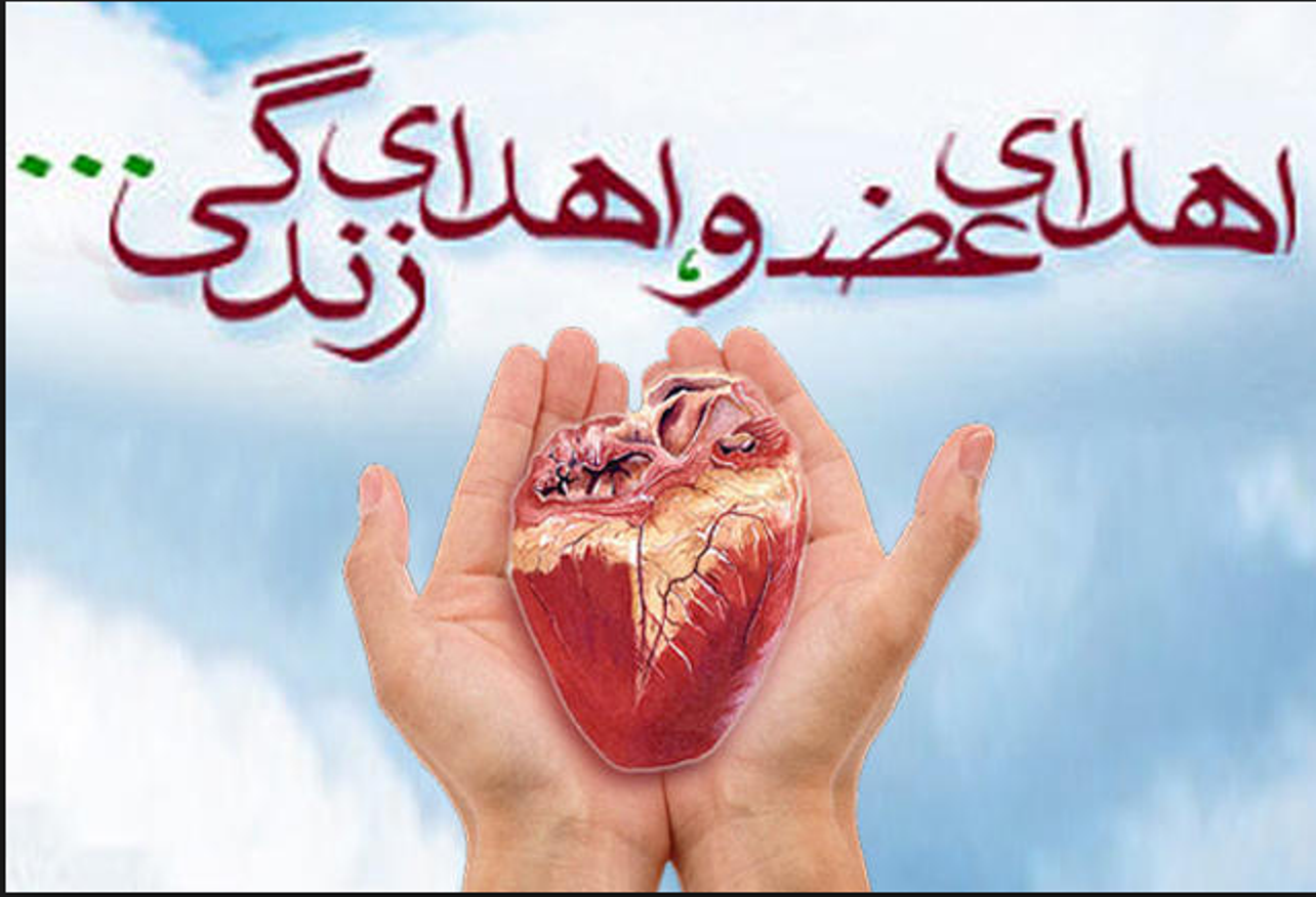 اهدای اعضای جوان مرگ مغزی ۴۳ ساله در بندرعباس