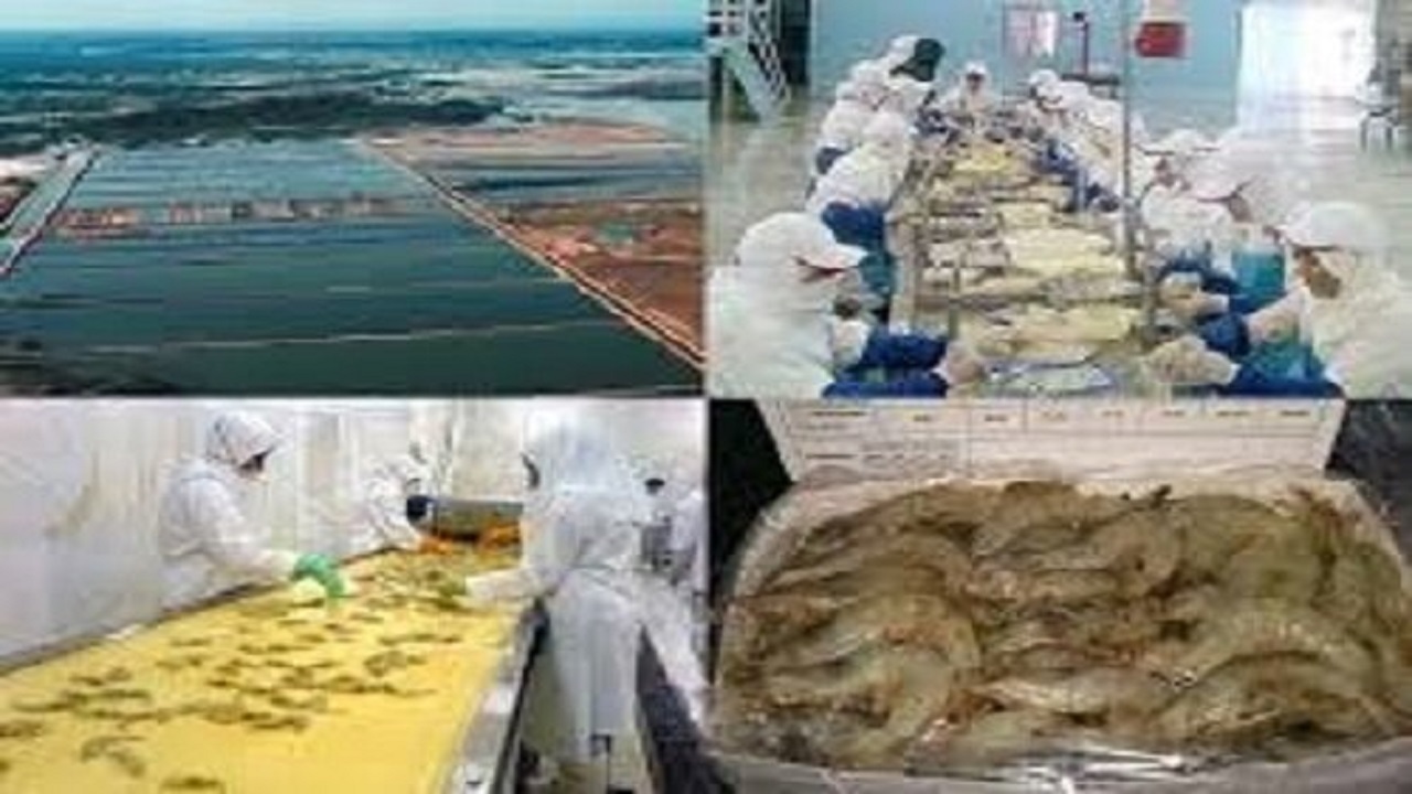 ظرفیت ایجاد ۳۰۰ هزار شغل در حوزه شیلات سیستان و بلوچستان فراهم است