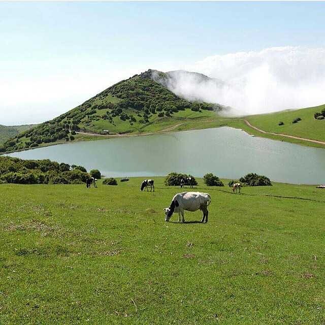 دریاچه زیبا سوها کجاست؟