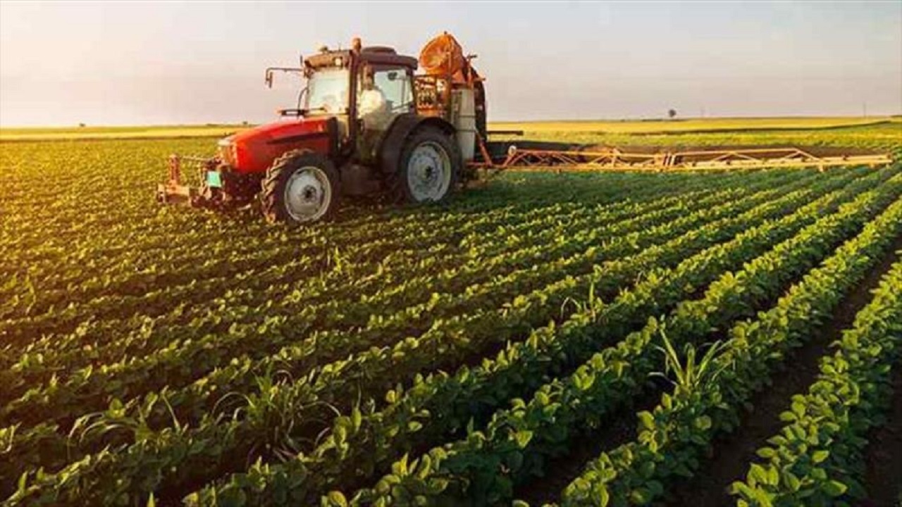 خبر خوش برای کشاورزان خسارت دیده در استان قزوین