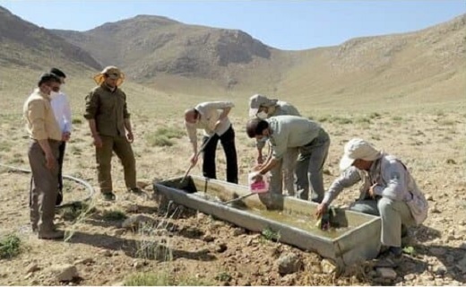 خشکسالی بیرجند