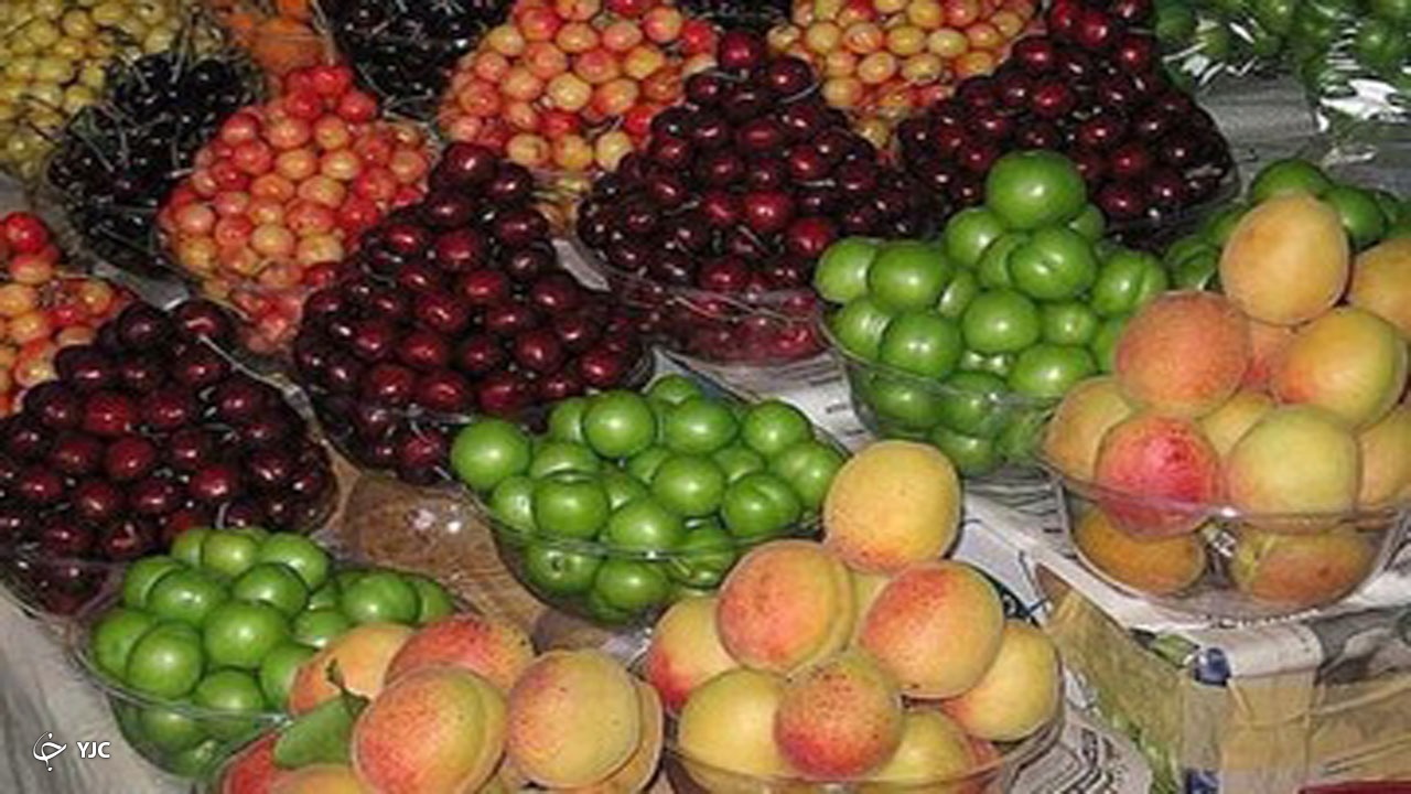 تولید میوه‌های هسته‌دار در مهاباد ۱۰ درصد کاهش یافت