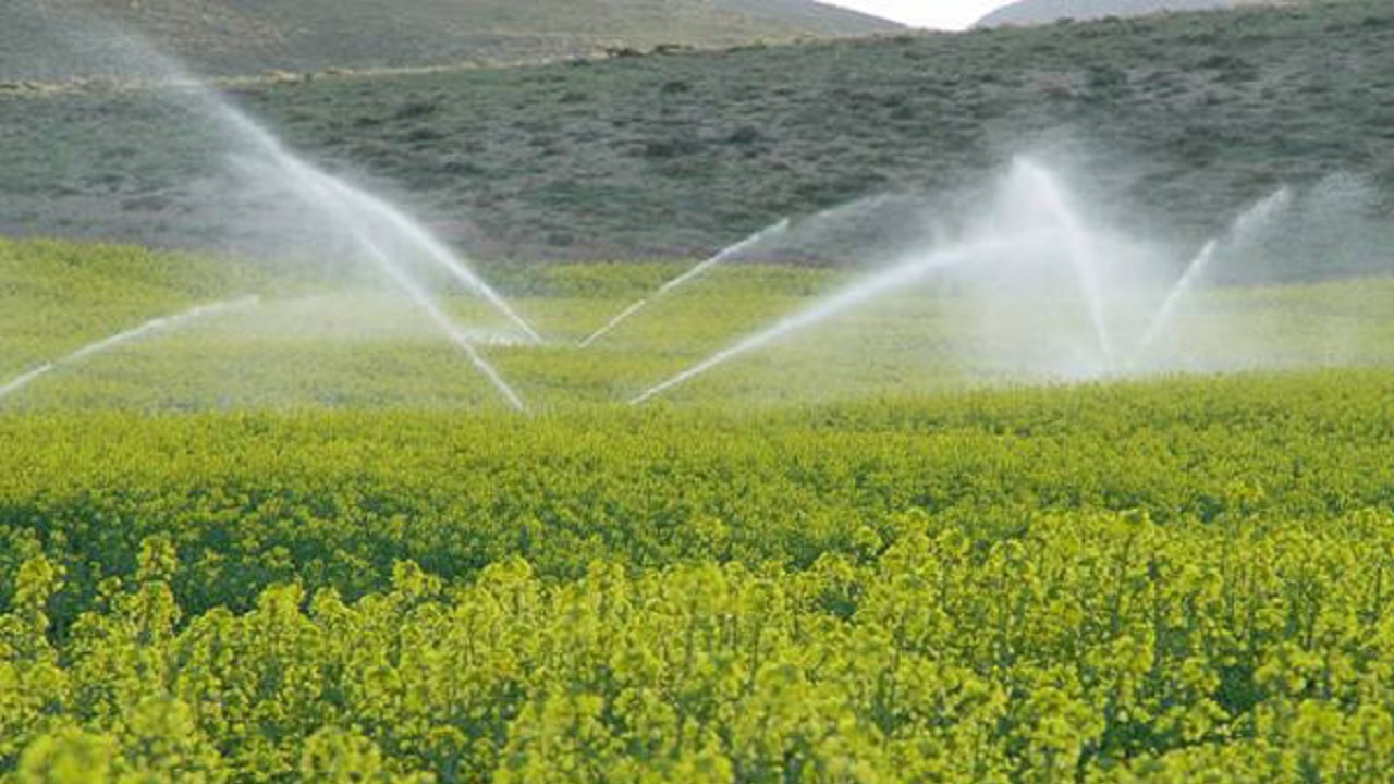 کم آبی و آهنگ کند نوین سازی سیستم‌های آبیاری در استان مرکزی