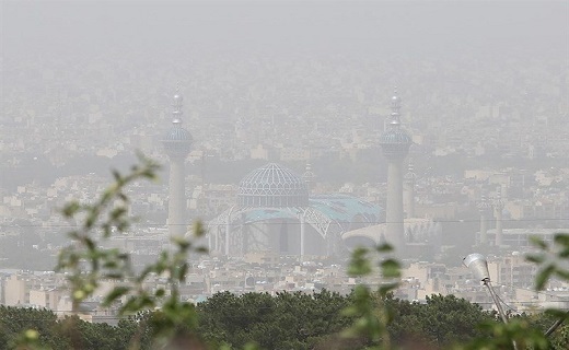محیط زیست