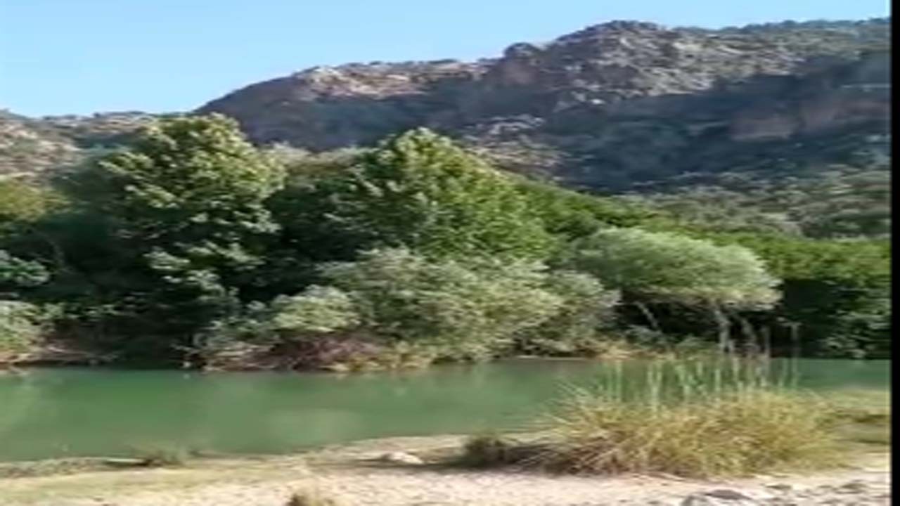 نمایی از طبیعت تابستانی در نورآباد ممسنی + فیلم