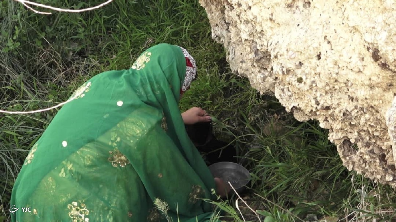 ۶ چشمه در منطقه عشایری ریگ لردگان بهسازی می‌شود