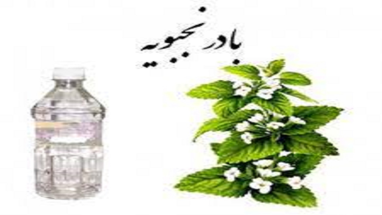 برگزاری دومین جشنواره عرق گیاهی بادرنجبویه در مراغه