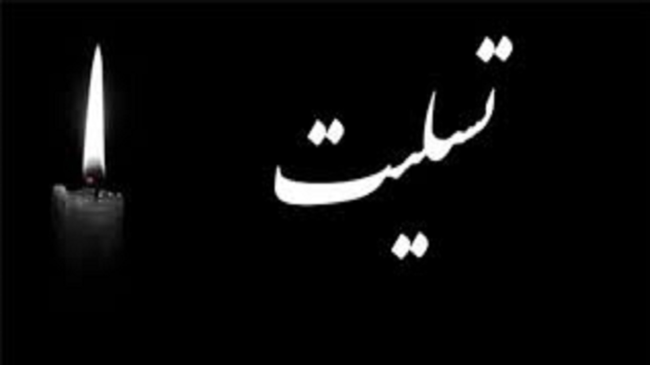 پیام تسلیت فرمانده سپاه عاشورا درپی شهادت مدافع حرم رضا صفدری
