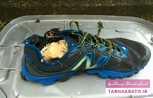 معمای پاهای قطع شده در ساحل شهر آرام کانادایی