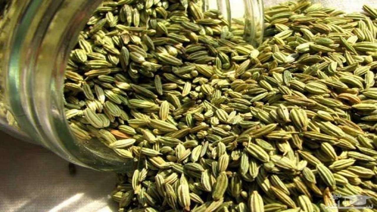 کشف محموله هل قاچاق در حاجی آباد