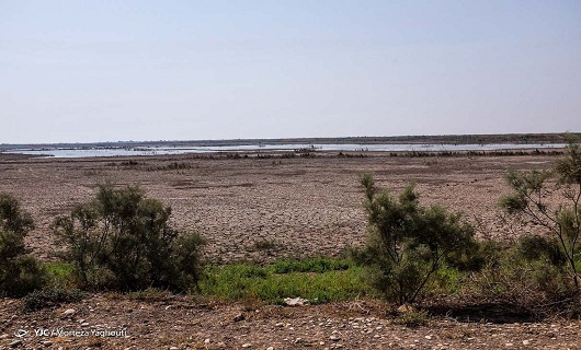 سایه خشکسالی بر پیکره کوهستان&zwnj;های استان همدان