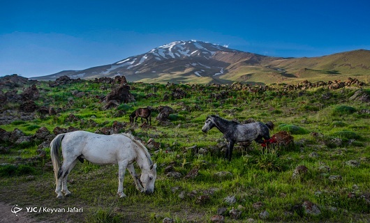 سایه خشکسالی بر پیکره کوهستان&zwnj;های استان همدان