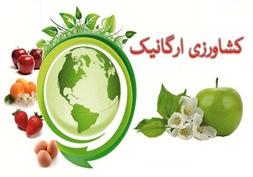 دغدغه مصرف کنندگان سلامت چیست؟/کشاورزی ارگانیک چگونه است؟ دغدغه مصرف کنندگان سلامت چیست؟/کشاورزی ارگانیک چگونه است؟