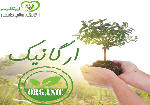 دغدغه مصرف کنندگان سلامت چیست؟/کشاورزی ارگانیک چگونه است؟ دغدغه مصرف کنندگان سلامت چیست؟/کشاورزی ارگانیک چگونه است؟