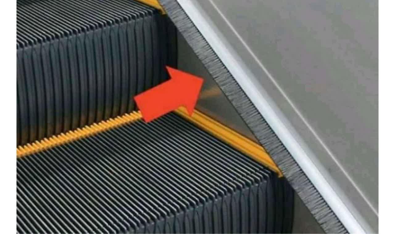 /