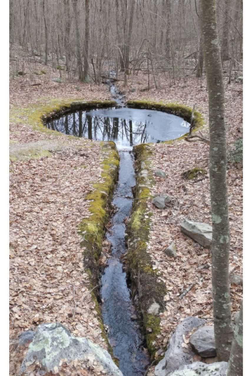 /