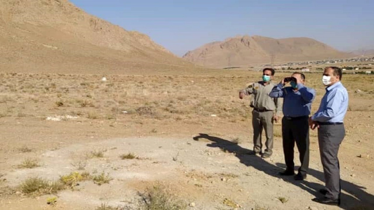 پروژه احداث مرکز پرنده‌نگری تالاب گندمان بررسی شد