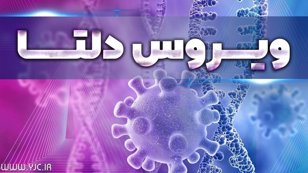 روند افزایشی ابتلا به دلتای هندی در خراسان جنوبی/ موارد بستری بیماران کرونایی رو به افزایش است