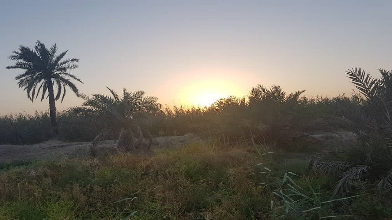 قامتی که از بی آبی و شوری آب خم شد