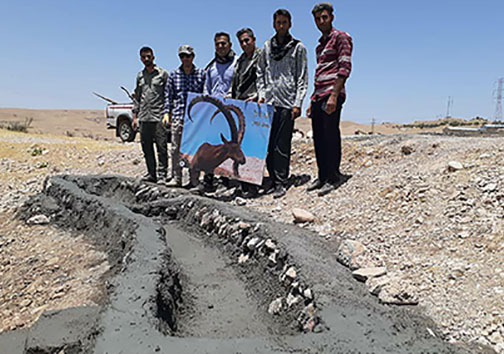 حیوانات تشنه در هرمزگان