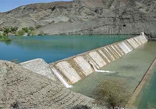 حیوانات تشنه در هرمزگان