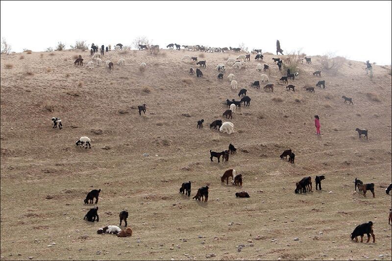 خشکسالی، طعم زندگی این روزهای کشاورزان