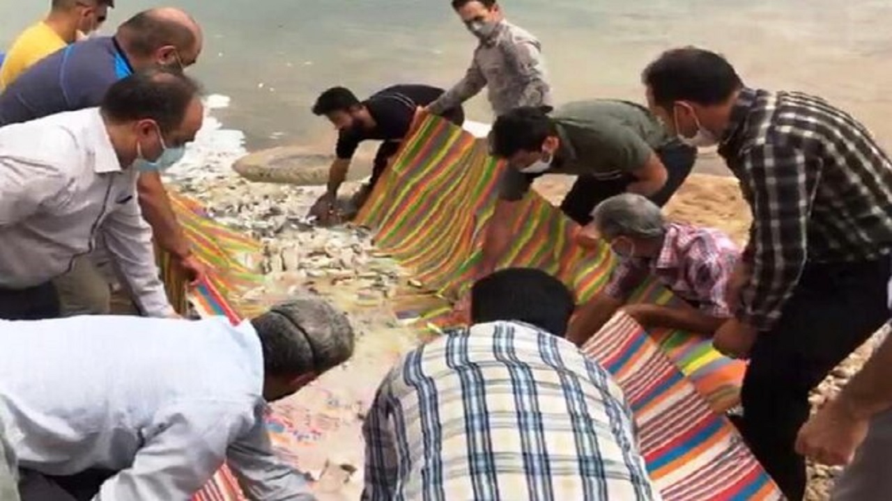 ۱۳۰ بچه ماهی بومی در منابع آبی خرمشهر رهاسازی شدند
