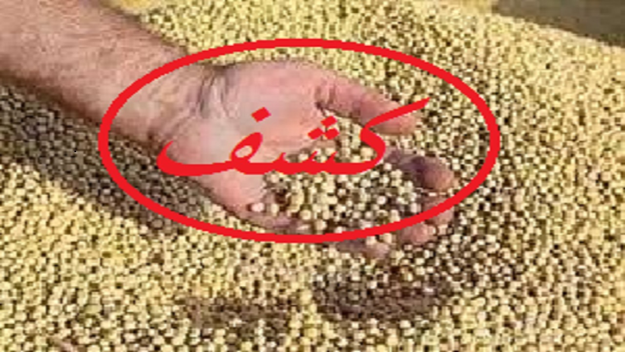 کشف ۴۸ تن سویای قاچاق در بهار
