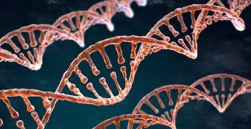 با ۱۴ دانستنی جالب در مورد DNA آشنا شوید