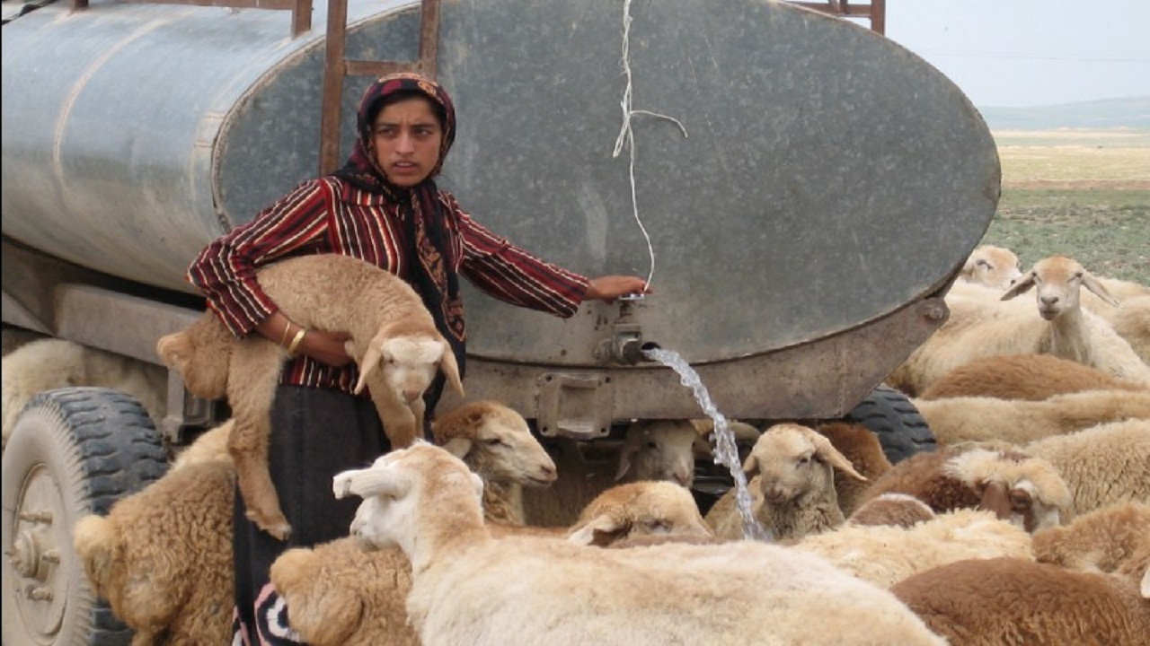 عشایر کهگیلویه و بویراحمد در تنگنای کم آبی به سر می برند