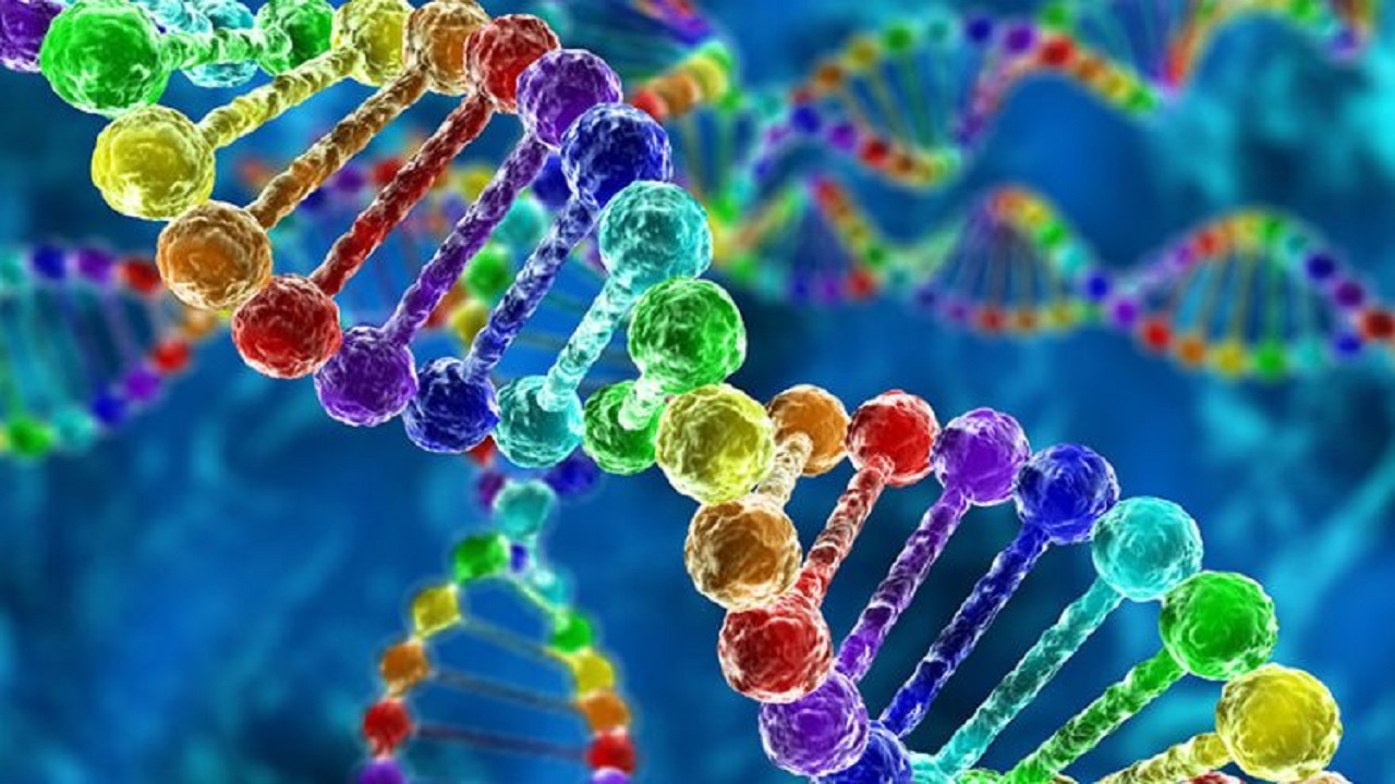 حقایقی جالب و کمتر شنیده شده درباره DNA که نمی‌دانستید
