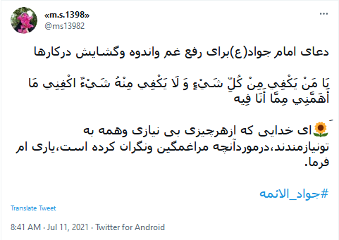 امام جواد(ع)