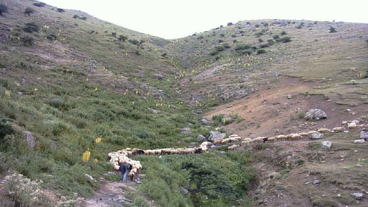 احداث ۶ کیلومتر کمربند حفاظتی در مهدیشهر
