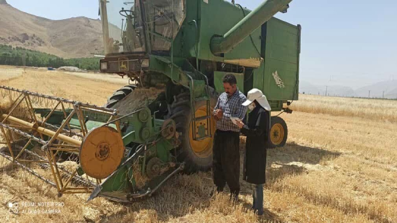فعالیت ۱۲ دستگاه کمباین برای برداشت غلات در فارسان