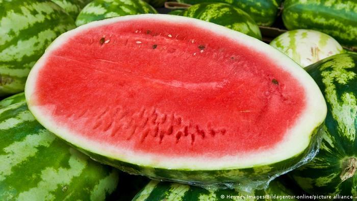 حفظ ایمنی مواد غذایی هنگام قطع مکرر برق