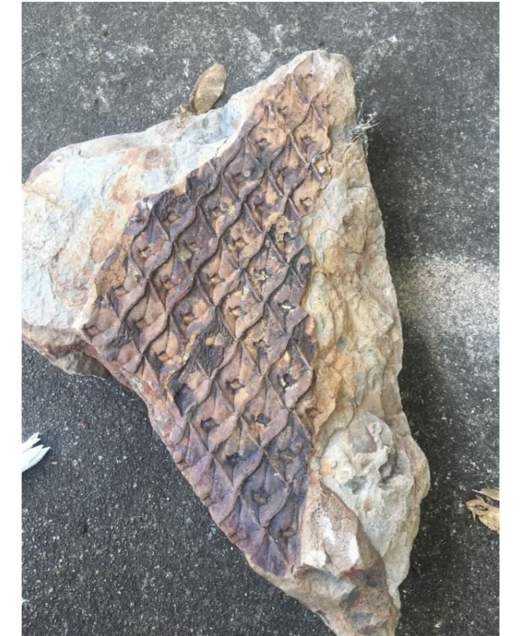 /