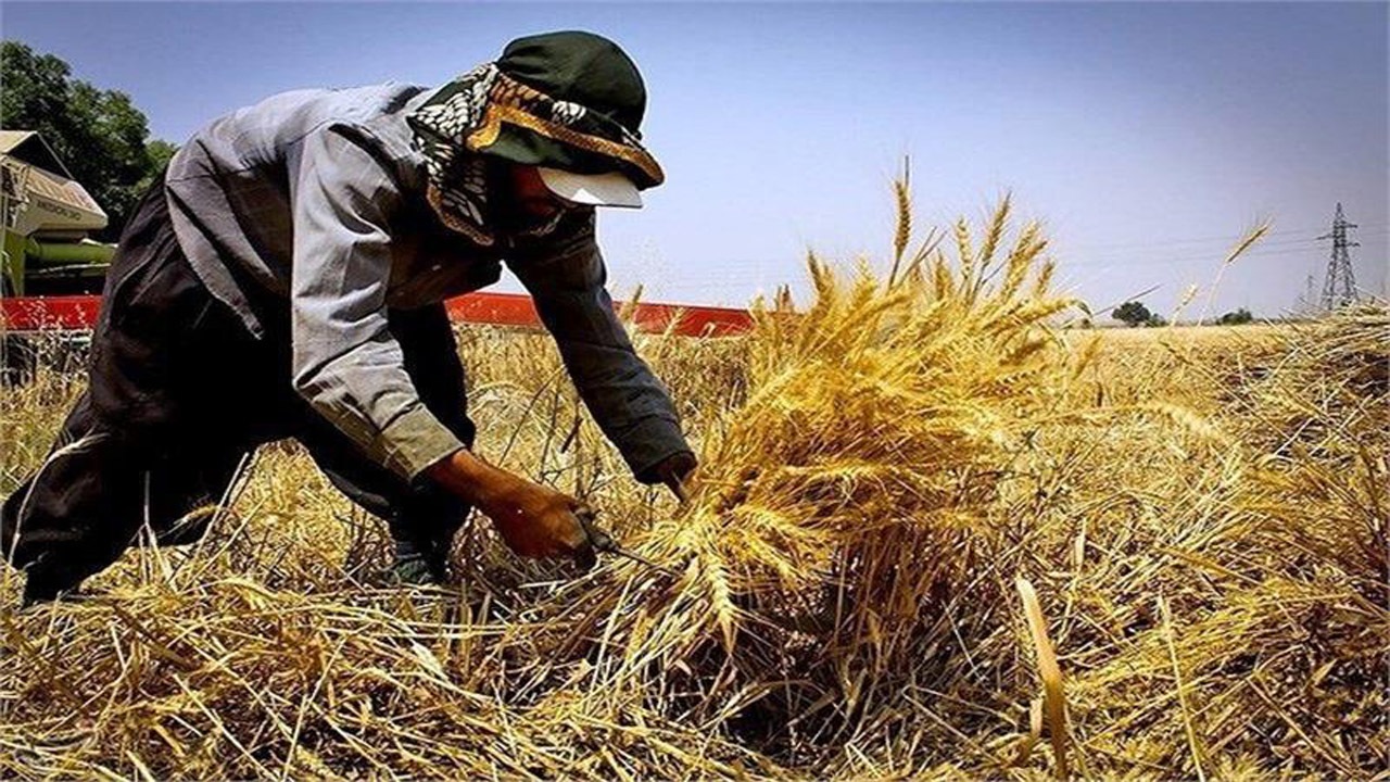 پرداخت ۳ میلیارد تومان زکات در خراسان شمالی