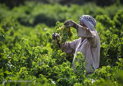 ابومهدی صاحب تاکستان 