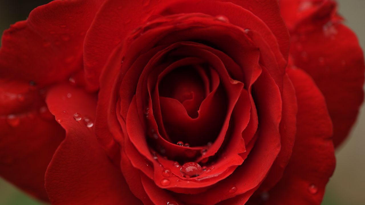 جذاب&zwnj;ترین تصاویر پس زمینه 