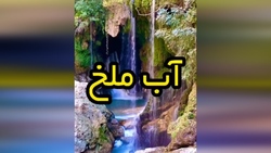 پرش فوق‌العاده کوسه هنگام شکار + فیلم