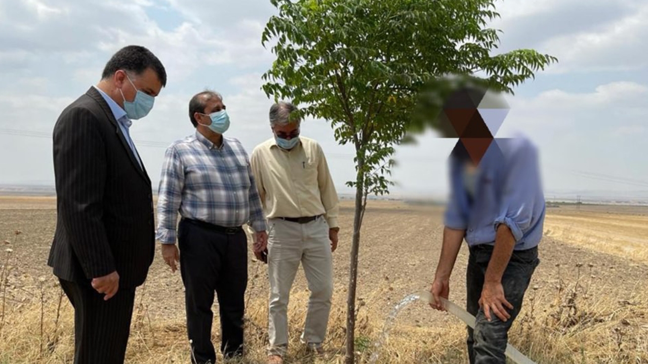 محکومان به جای زندان درختان را آبیاری می کنند